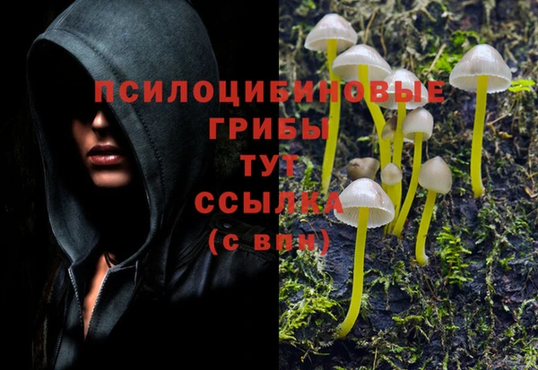 круглые Арсеньев