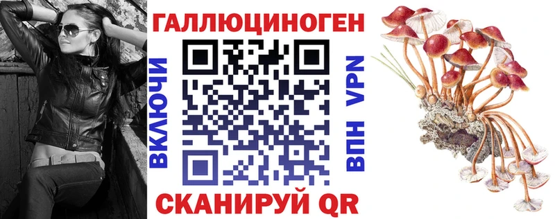 Псилоцибиновые грибы GOLDEN TEACHER  Ельня 