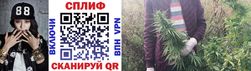 Канабис THC 21% Ельня